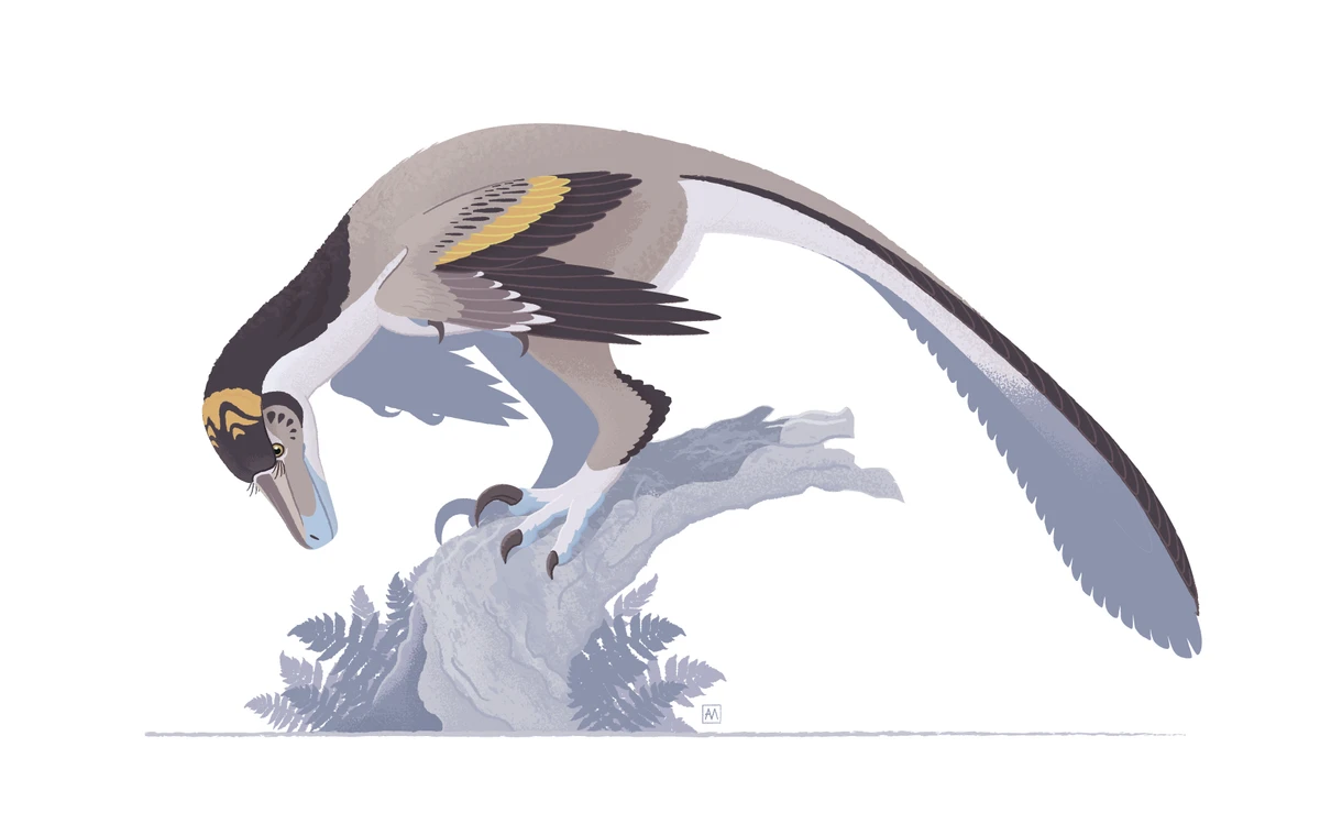 Ilustración paleontológica de Variraptor