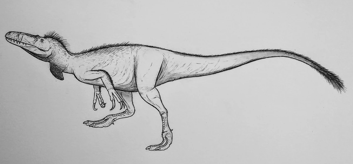 Ilustración paleontológica de Vectaerovenator