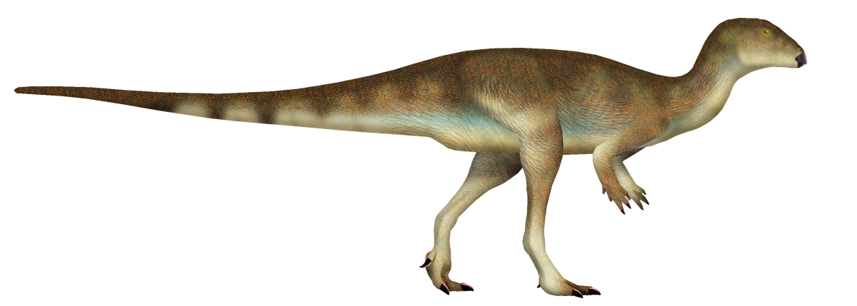 Ilustración paleontológica de Vectidromeus