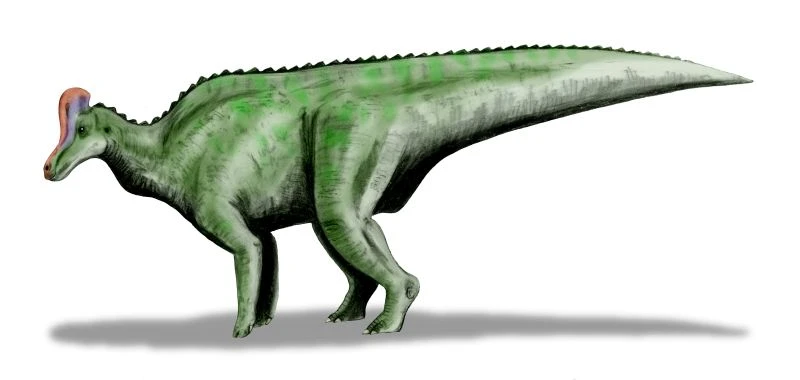 Ilustración paleontológica de Velafrons