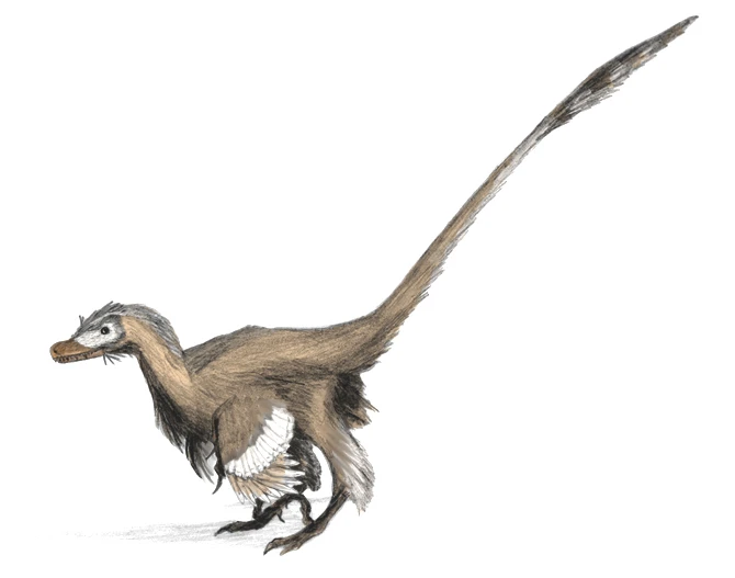 Ilustración paleontológica de Velociraptor