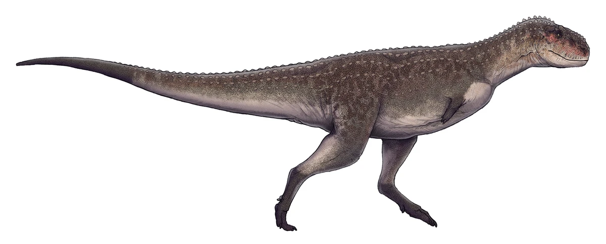 Ilustración paleontológica de Viavenator