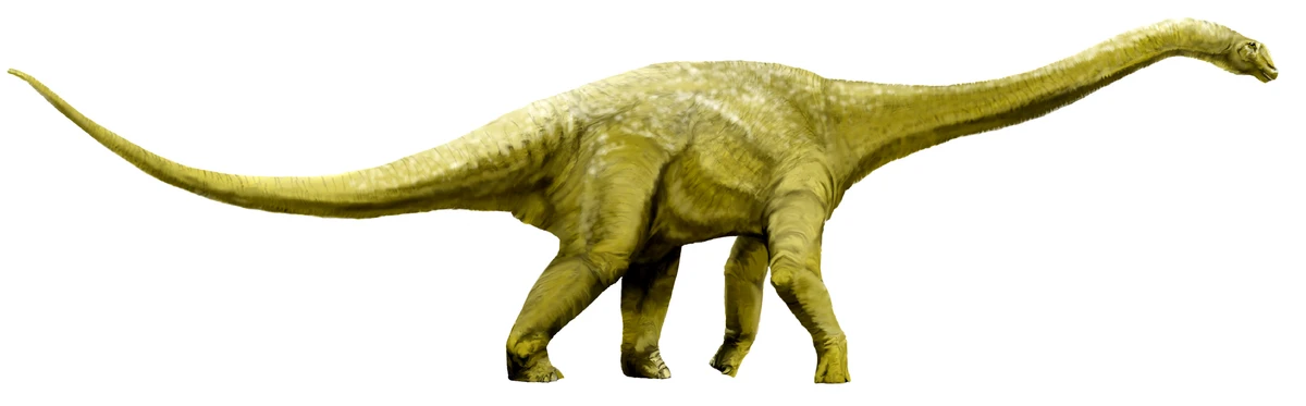 Ilustración paleontológica de Wintonotitan