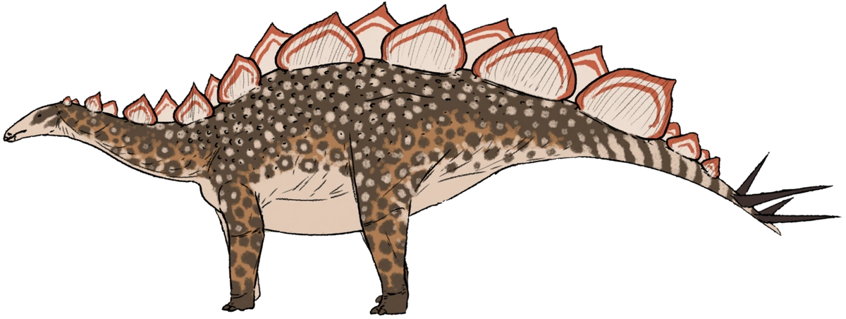 Ilustración paleontológica de Wuerhosaurus