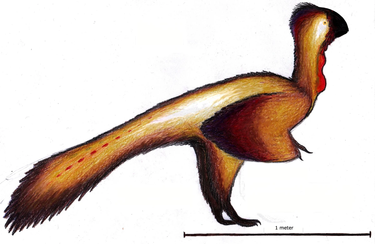 Ilustración paleontológica de Wulatelong