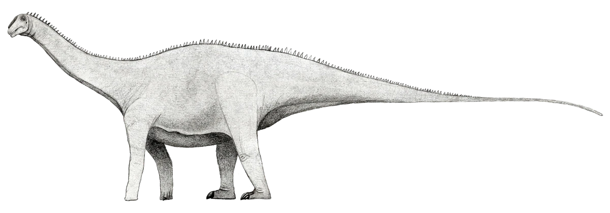 Ilustración paleontológica de Xenoposeidon