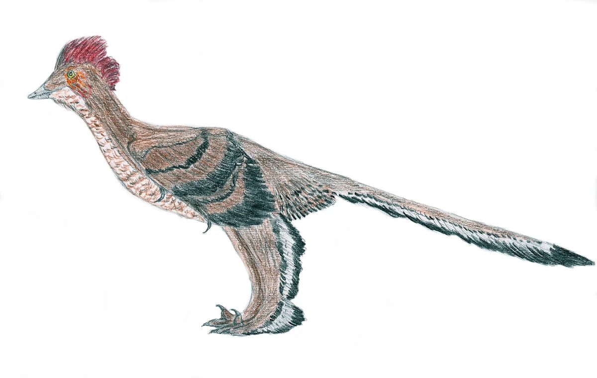 Ilustración paleontológica de Xiaotingia