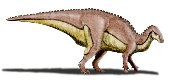 Ilustración paleontológica de Xuwulong