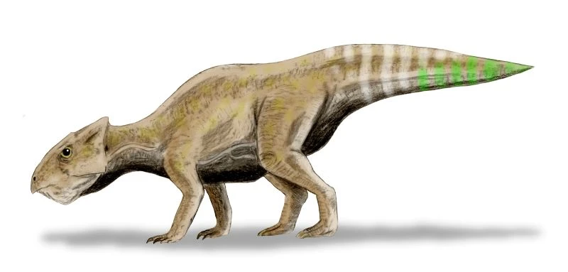 Ilustración paleontológica de Yamaceratops