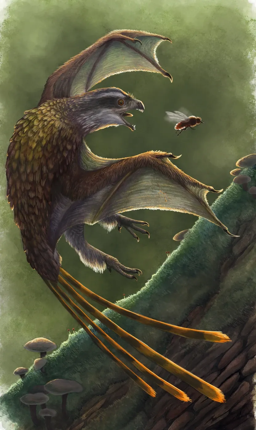 Ilustración paleontológica de Yi