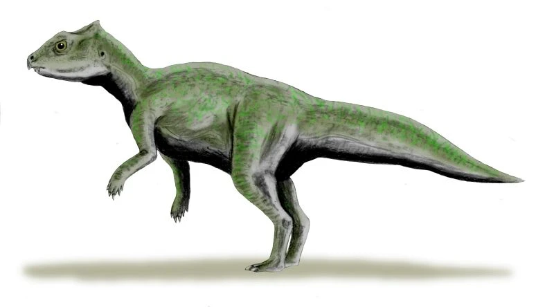 Ilustración paleontológica de Yinlong