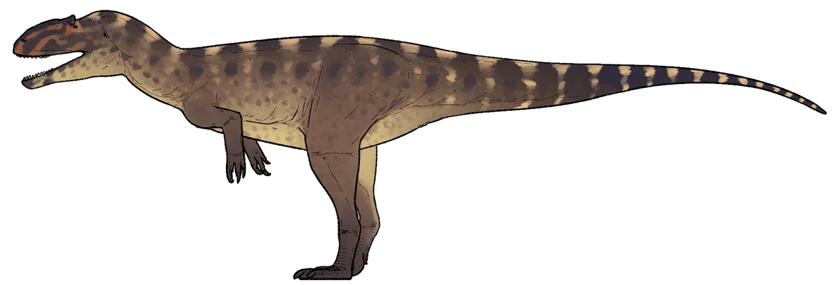 Ilustración paleontológica de Yuanmouraptor
