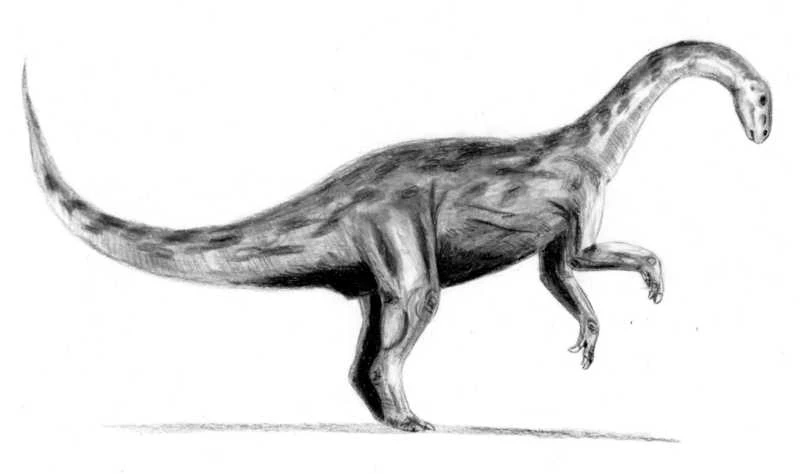 Ilustración paleontológica de Yunnanosaurus