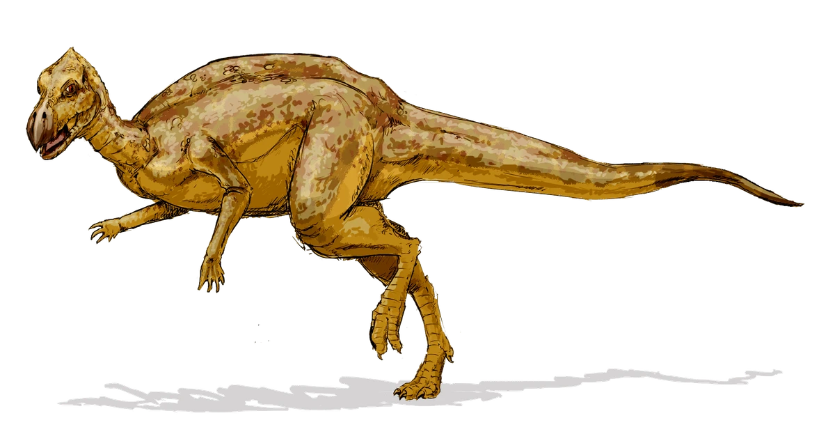 Ilustración paleontológica de Zalmoxes