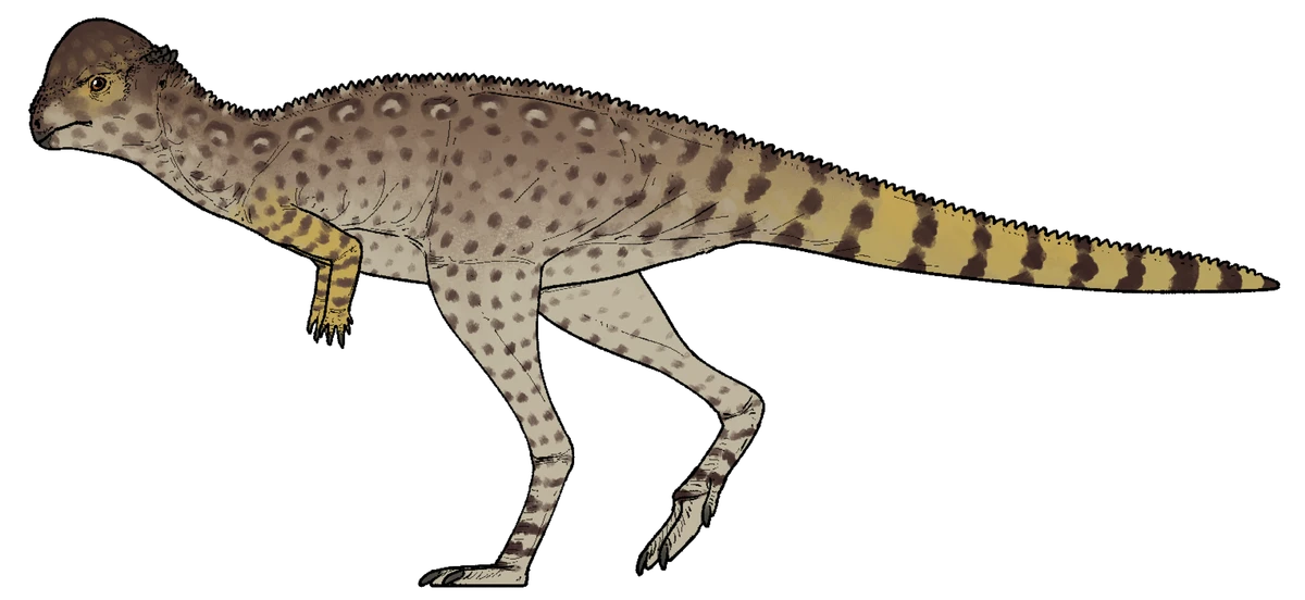 Ilustración paleontológica de Zavacephale