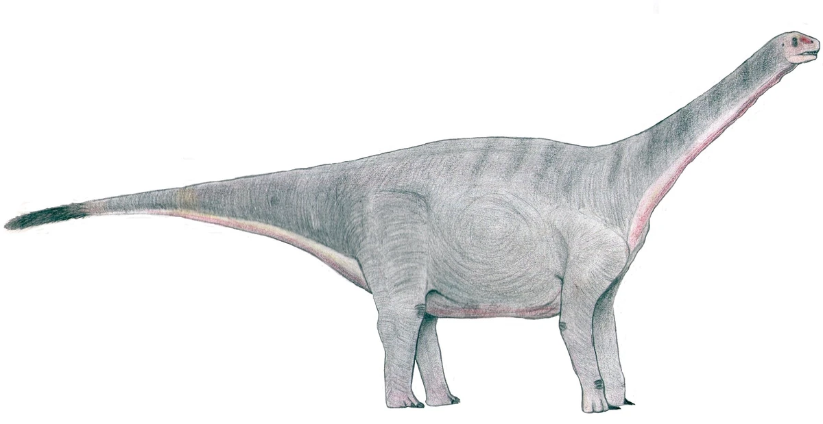 Ilustración paleontológica de Zby