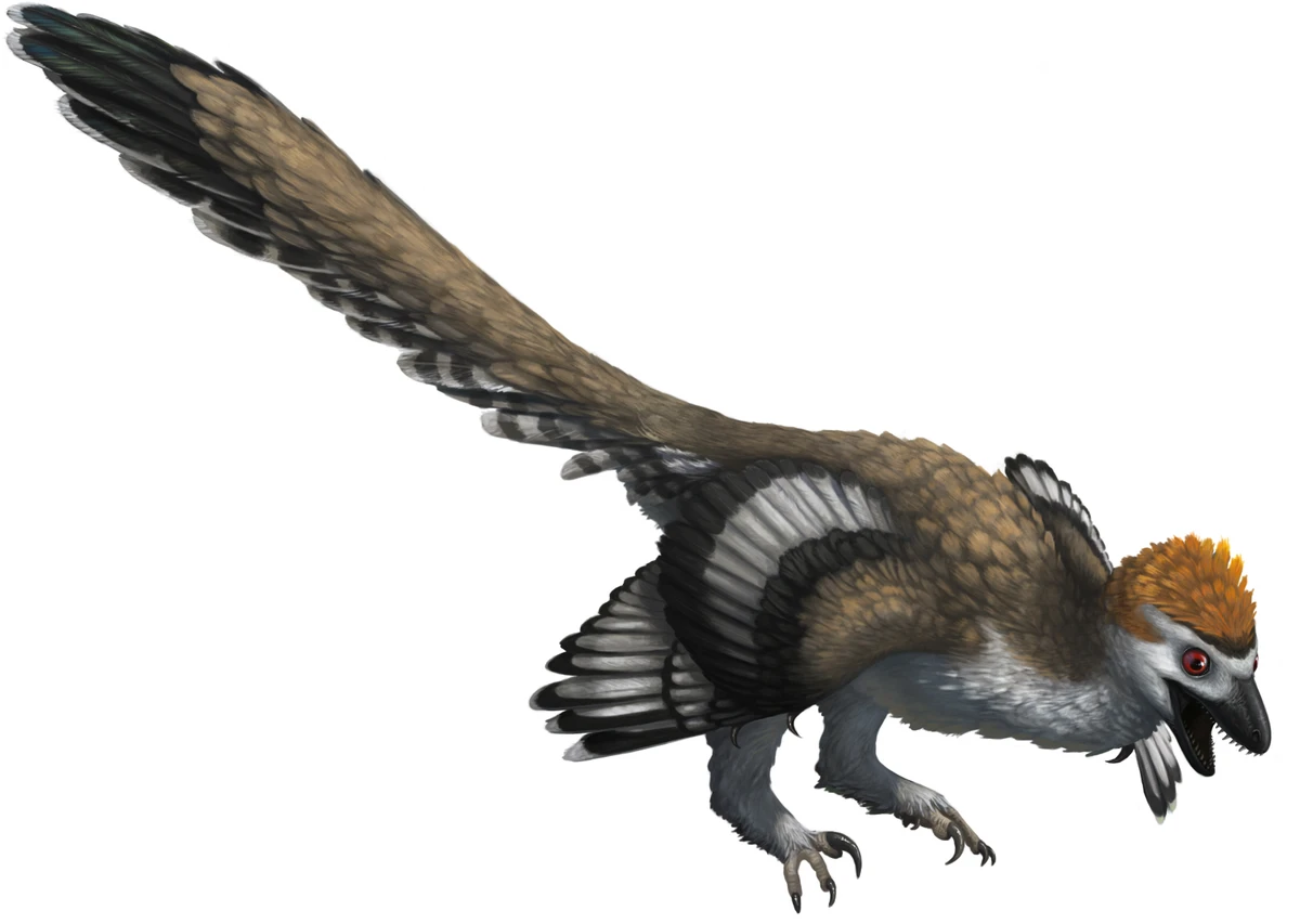Ilustración paleontológica de Zhenyuanlong