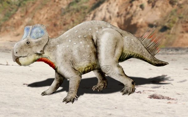 Ilustración paleontológica de Zhuchengceratops