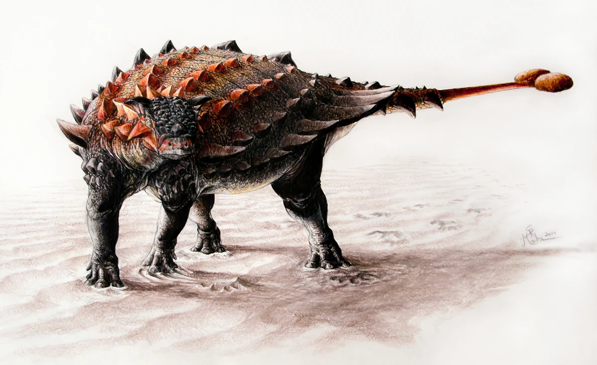 Ilustración paleontológica de Ziapelta