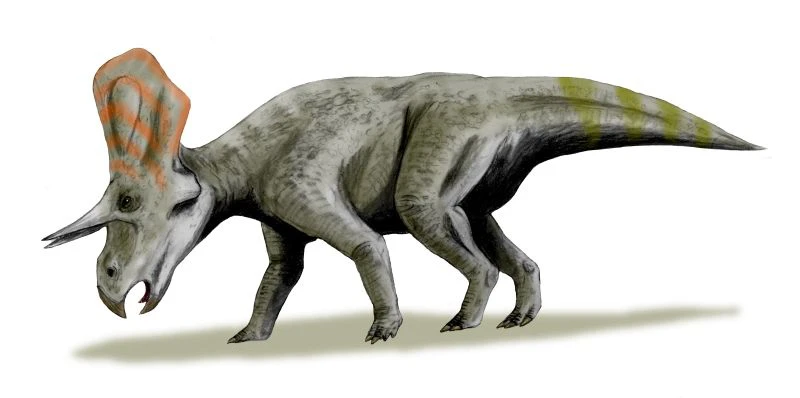 Ilustración paleontológica de Zuniceratops